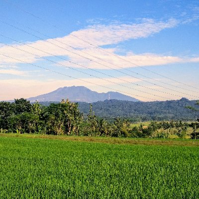 JarwadiPodi's profile picture. CIATOTO / CIUTOTO / COITOTO / CIUTOTOVIP / SBOBETKEY / TOKECASH

CIA88GROUP aman dan menjamin kemenangan anda di bayar lunas dengan proses yang sangat cepat!!