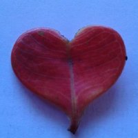 Jennie M (@commsjennie) 's Twitter Profile Photo