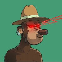 nftbro (@nfthee) 's Twitter Profile
