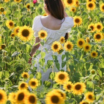 anna29018397's profile picture. 裏アカ女子！DM待ってる