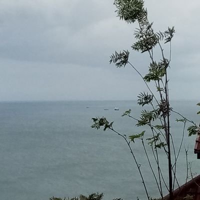 mnfairley21's profile picture. 