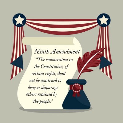 I am the Ninth Amendment to the U.S. Constitution. My text explicitly guarantees that the Constitution protects unenumerated rights. Courts ignore me. (Parody.)