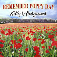 Remembrance Day Site - Remember Poppy Day Project:
Music, Poem & Poppy Art supporting Poppy Appeal Charity & The Alzheimers Society.