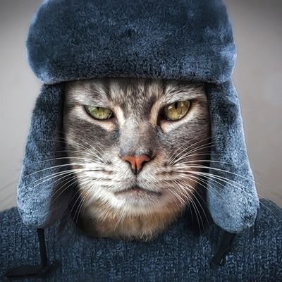 Music Ghostwriter - in love with rhymes
FOLLOW EXCHANGE-
NO DM -in a wanderlust syndrome getting worse day after day
🐱alert cat's lover profile🐈