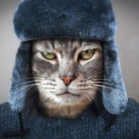 Gabriel Pasternak (@justinghiandone) 's Twitter Profile Photo Gabriel Pasternak (@justinghiandone) 's Twitter Profile Photo