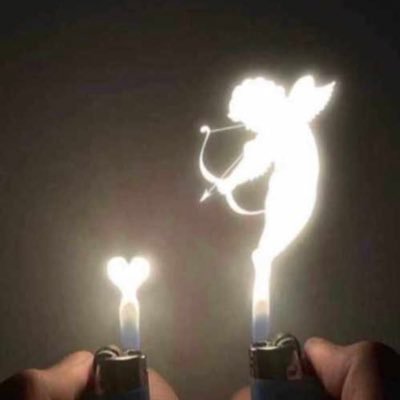 Hammerhead081's profile picture. “In Nature everything is an exchange of energy”