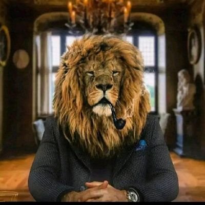 LionKin69056019's profile picture. Am a king of the jungle and the city..
