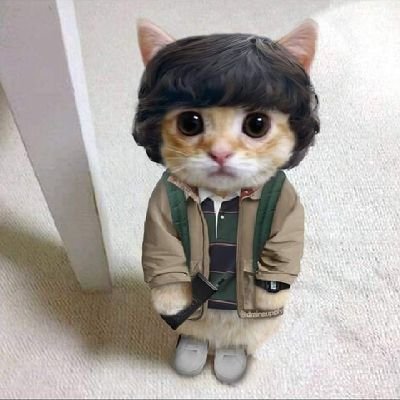 iamkokonutzz's profile picture. 