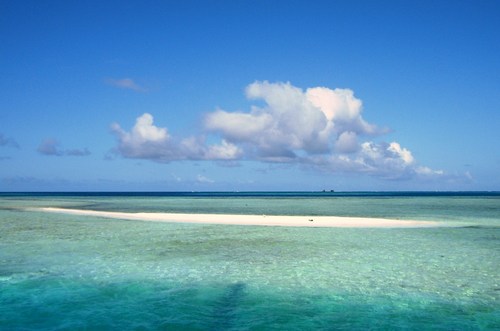 blancoyaritza's profile picture. 