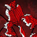 RedIrisBooks's profile picture. Red Iris Books: The dark heart of fantasy. We publish the best in dark fantasy for teen and adult audiences.