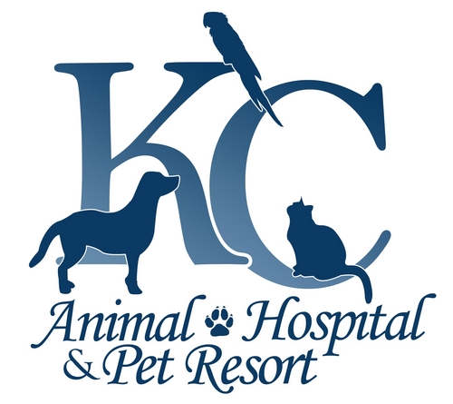kcanimalhosp's profile picture. Founded in 1989, KC Animal Hospital serves the North Scottsdale and Fountain Hills area in the love and care of their small animals and exotic pets.