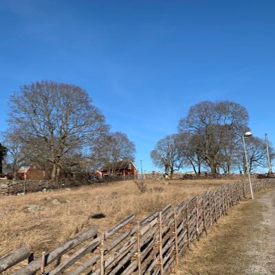 felixdsouza's profile picture. 