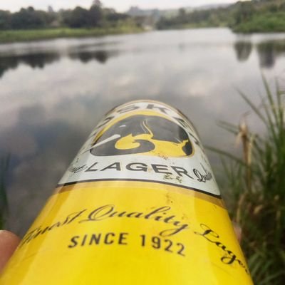 piechart007's profile picture. 