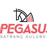 Pegasus Satranç Selda Serenli Fide Arbiters &Chess (@pegasussatranc) Twitter profile photo