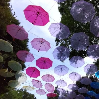 springsky7132's profile picture. 大阪→神奈川