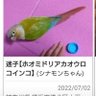 SMm6asCWSflgN9x's profile picture. 2022.7.2 土曜　朝10時頃。
横浜市港北区にて、ウロコインコのシナモンが迷子です。シナモン、かわいい、行ってくる、ありがと　など、おしゃべりします。目撃、保護情報ご協お願い致します。
