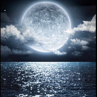 Moxy9999's profile picture. 
