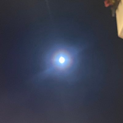 Agatha16578522's profile picture. 