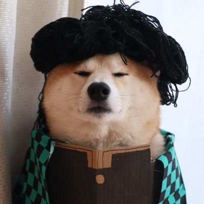 🐕柴犬(茶々丸)と🐰ウサギ(ペコ)を飼っています。
Instagram:https://t.co/HW9PLeA7dH
TikTok:https://t.co/BGLEALosYI