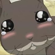 Hero_Rabbit1729's profile picture. Observer