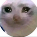 แหม่ม โมสันเที๊ยะ (@haemmsan) Twitter profile photo แหม่ม โมสันเที๊ยะ (@haemmsan) Twitter profile photo