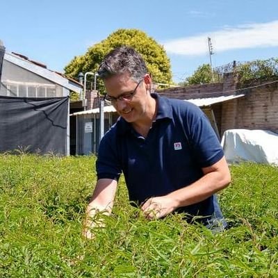 Ing. Agrónomo. Dr. en Biología. 
Investigador del Instituto de Fisiología y Recursos Genéticos Vegetales - INTA