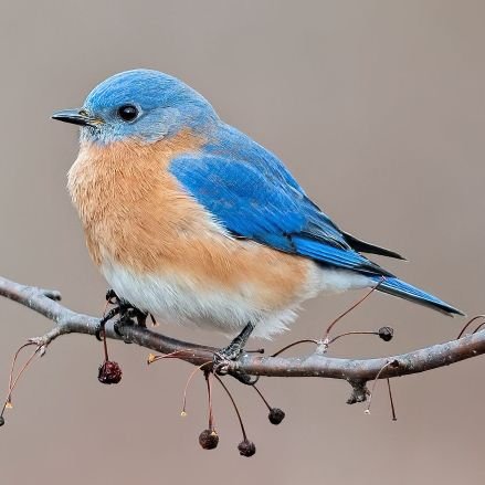 ninas_83's profile picture. 