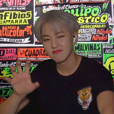 protectora #1 de kim mingyu y christian yu, si les tiras hate, avisame y nos sacamos la mrd
02 line 🇵🇪 ༄ she ༄ carat ♡ one of igot7 ♡ nctzen