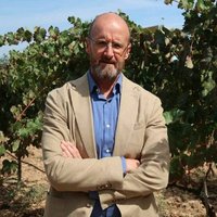 Fernando Fernández (@ffernandezsuch) 's Twitter Profile