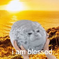 BlessedSeal (@blessedseal) 's Twitter Profile