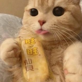 lacda17's profile picture. av02