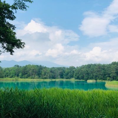 chado_048's profile picture. 社会人6年目