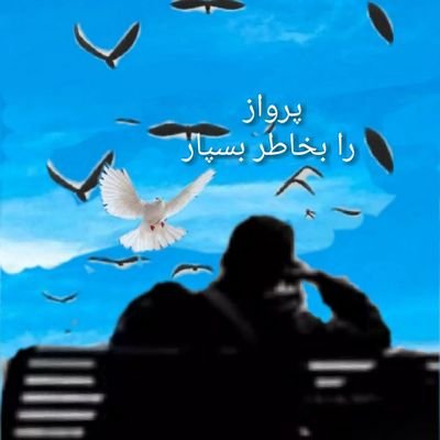 فارغ التحصیل رشته کارگردانی  تلویزیون و سینما