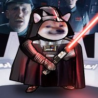 DarthVader(@DarthVa57054013) 's Twitter Profile Photo DarthVader(@DarthVa57054013) 's Twitter Profile Photo