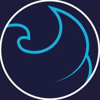 Caledonian Braves (@thebravesfc) 's Twitter Profile
