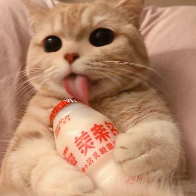 lacda18's profile picture. av