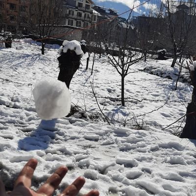 DanielPremakar's profile picture. Immanuel