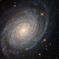 boilershaft2 (@boilershaft2) 's Twitter Profile Photo