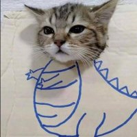 Qamar (@mrqamarr) 's Twitter Profile Photo