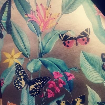 Donnaaries85's profile picture. 