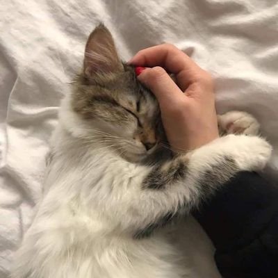 smleyd's profile picture. 