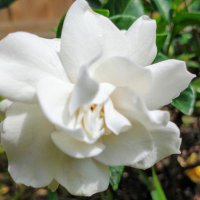 Cathy Brown (@cathybrown380) 's Twitter Profile Photo Cathy Brown (@cathybrown380) 's Twitter Profile Photo
