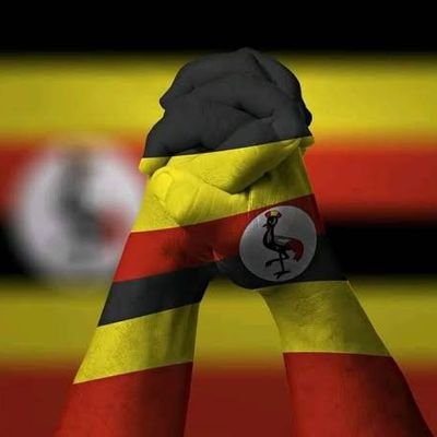 Volunteer @deaflinkuganda Software Developer #deafcommunity #deafchildren
#arsenaldiehard,#GodFearing,