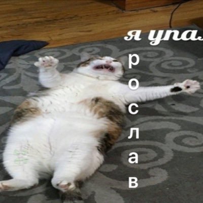 klasskomfort's profile picture. )