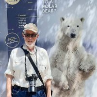 Peter Black (@northsnapper) 's Twitter Profile