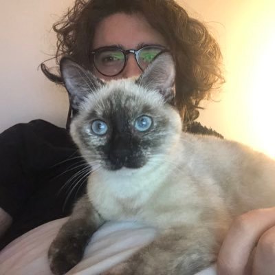 JBaptiste_Bdx's profile picture. La rage de l’ère moderne, mais avec la poésie fragile d’un autre temps. - Végétarien - RH - Sea Shepherd - 🦁❤️🐻