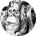 StereoSimian (@stereosimian) Twitter profile photo StereoSimian (@stereosimian) Twitter profile photo