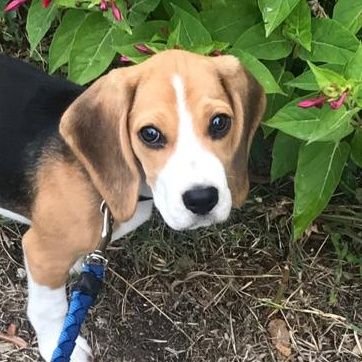 Michel_HNSCKR's profile picture. Tech, energy, finance applied with corporate, VC and startup experience.