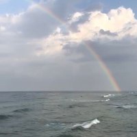 أ.د. ريم محمد الطويرقي (@reemaltuwirqi) 's Twitter Profile