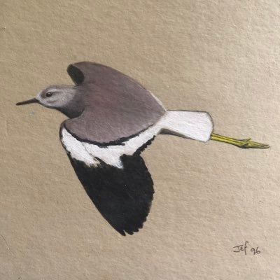 Warksbirdobs Profile Picture